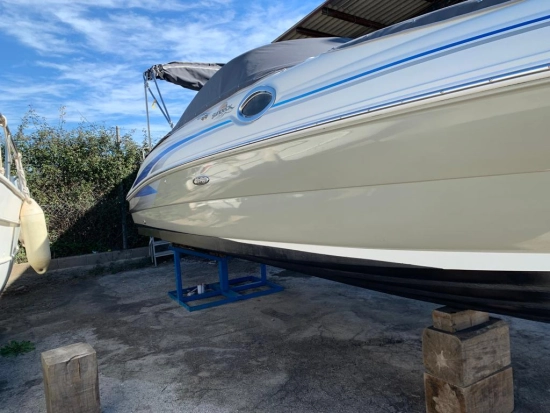 Sea Ray 240 SD gebraucht zum verkauf