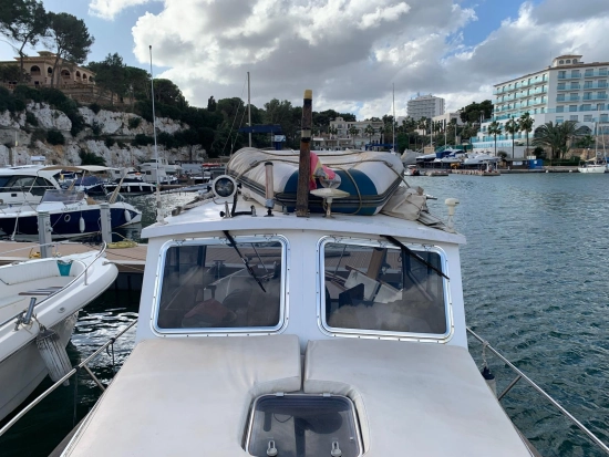 Capeador 43 d’occasion à vendre