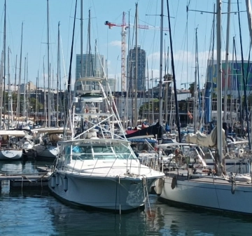 Cabo Yachts 45 Express preowned for sale