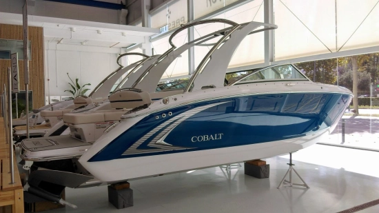 Cobalt R5 SURF brand new for sale