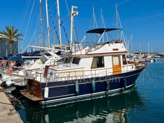 Trawler 34 d’occasion à vendre