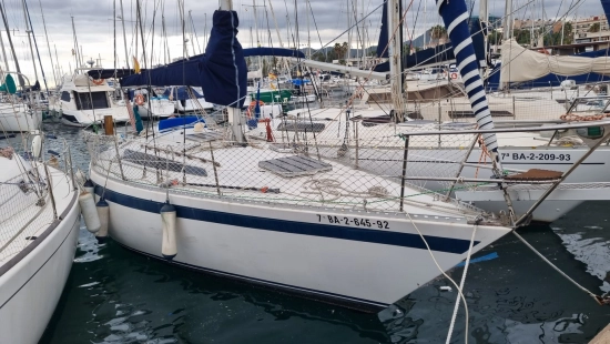 Puma 38 velero hotsell