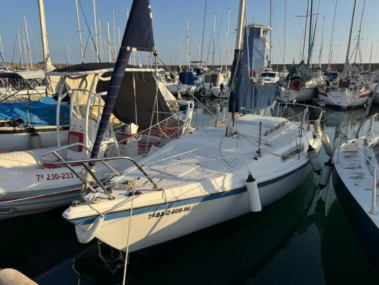 Mac Gregor Yachts 22 gebraucht zum verkauf