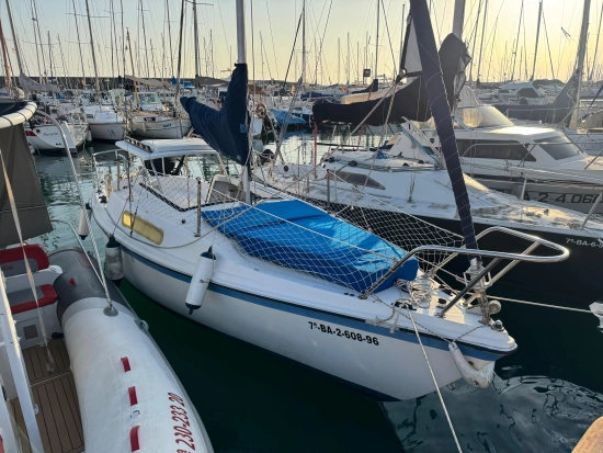 Mac Gregor Yachts 22 gebraucht zum verkauf