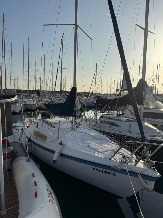 Mac Gregor Yachts 22 gebraucht zum verkauf