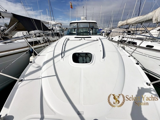 Sea Ray Sundancer 425 gebraucht zum verkauf