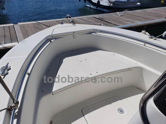 Triton Boats TRITON 2006 preowned for sale