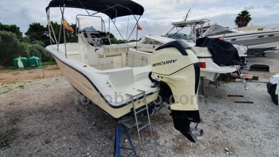 Triton Boats TRITON 2006 preowned for sale