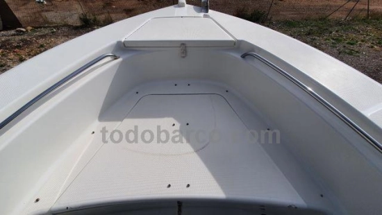 Triton Boats TRITON 2006 preowned for sale