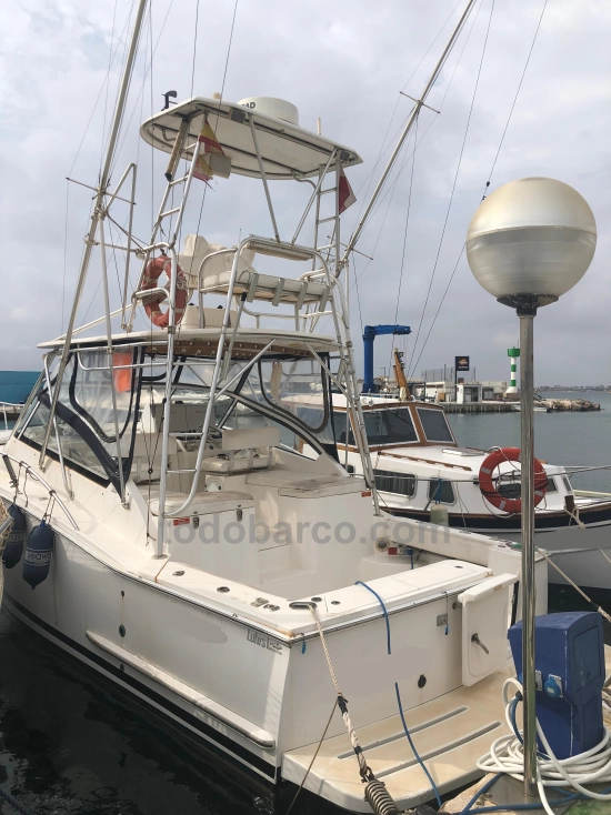 Luhrs 30 open preowned for sale