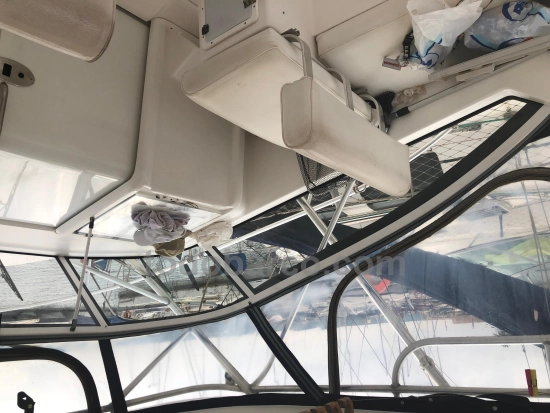 Luhrs 30 open preowned for sale