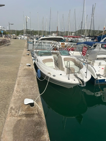 Sea Ray Sundeck 240 d’occasion à vendre