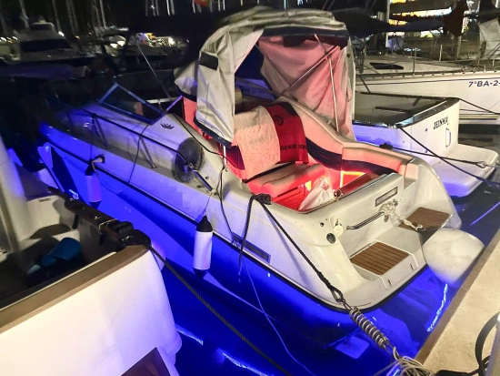 Crownline 250 CR d’occasion à vendre