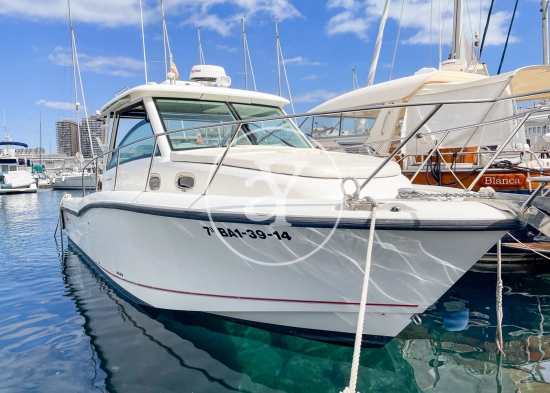 Boston Whaler 315 CONQUEST d’occasion à vendre