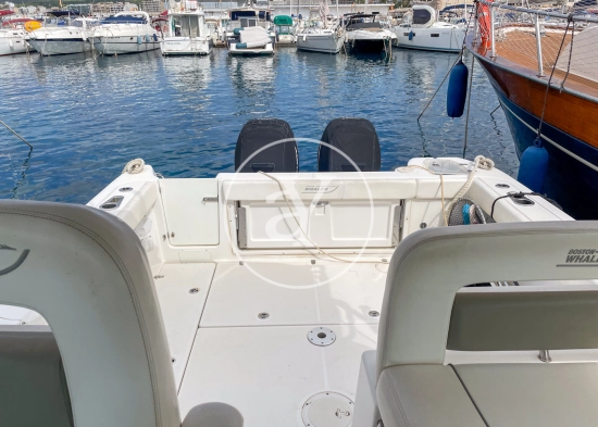 Boston Whaler 315 CONQUEST d’occasion à vendre