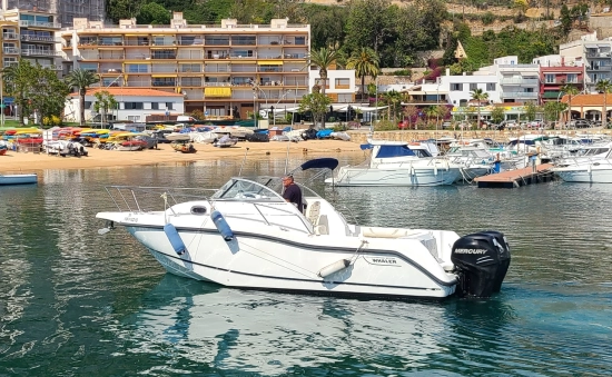 Boston Whaler Conquest 255 d’occasion à vendre