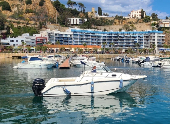 Boston Whaler Conquest 255 d’occasion à vendre