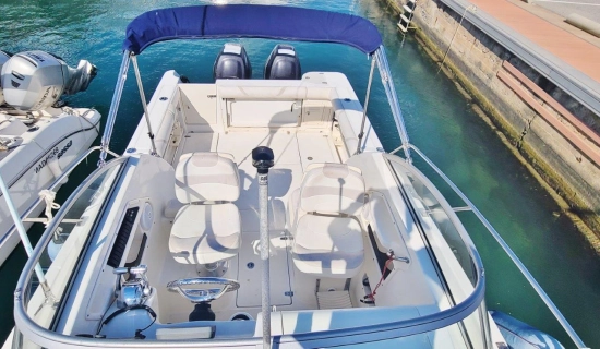 Boston Whaler Conquest 255 d’occasion à vendre