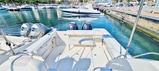 Boston Whaler Conquest 255 d’occasion à vendre