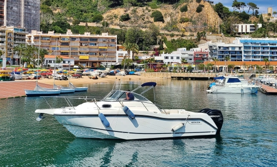 Boston Whaler Conquest 255 d’occasion à vendre