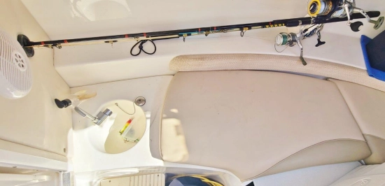 Boston Whaler Conquest 255 d’occasion à vendre