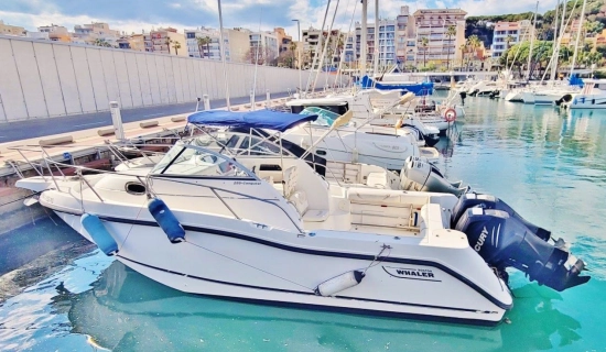 Boston Whaler Conquest 255 d’occasion à vendre