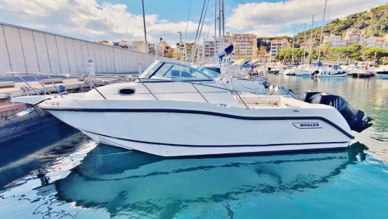 Boston Whaler Conquest 255 d’occasion à vendre