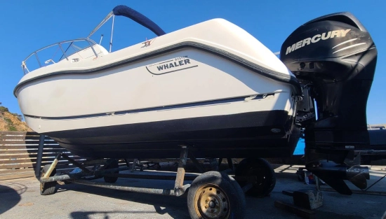 Boston Whaler Conquest 255 d’occasion à vendre