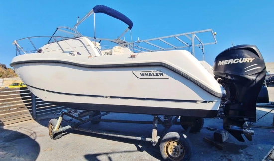 Boston Whaler Conquest 255 d’occasion à vendre