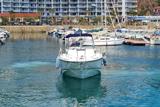 Boston Whaler Conquest 255 d’occasion à vendre