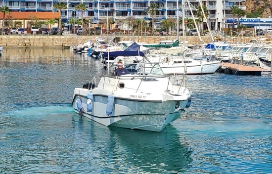 Boston Whaler Conquest 255 d’occasion à vendre