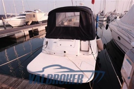 Sea Ray Sundancer 315 d’occasion à vendre