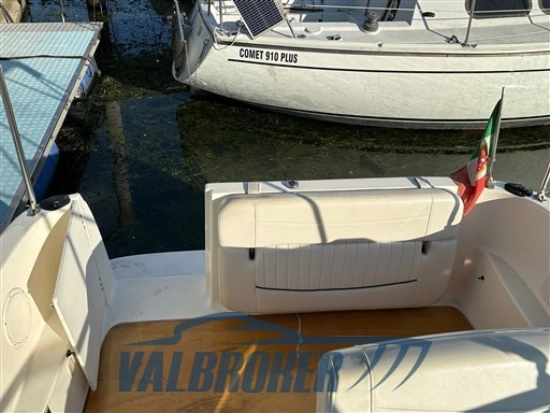 Bayliner 245 CIERA d’occasion à vendre