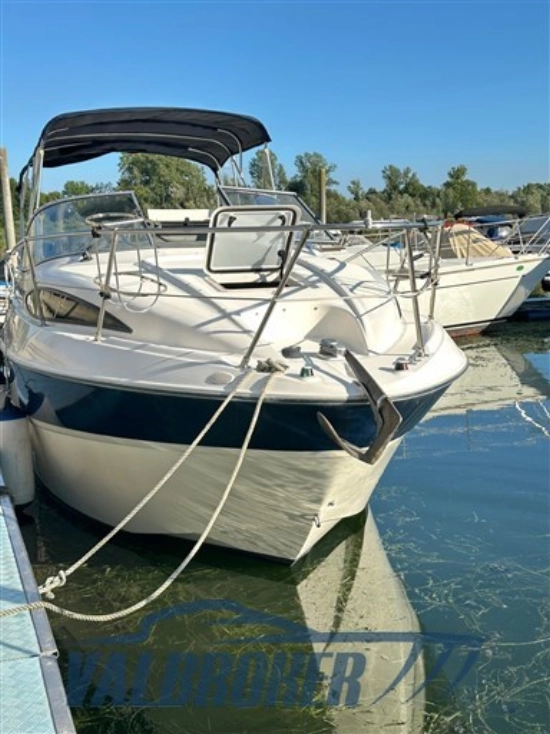 Bayliner 245 CIERA d’occasion à vendre