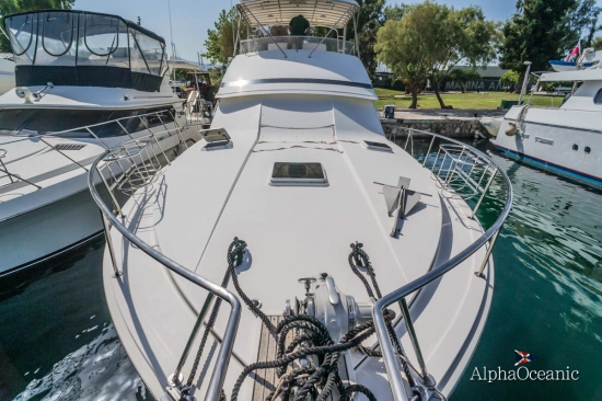 Bertram 50 Convertible d’occasion à vendre