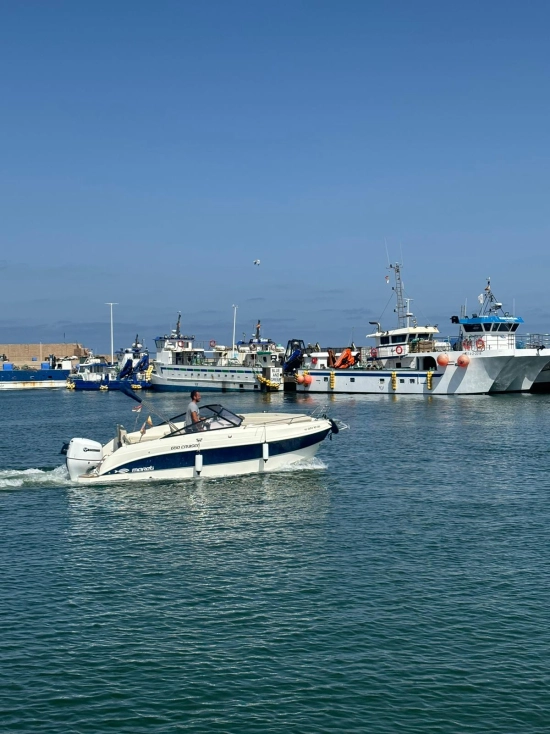 Mareti Boats 650 CRUISER + SUZUKI 115 neuf à vendre