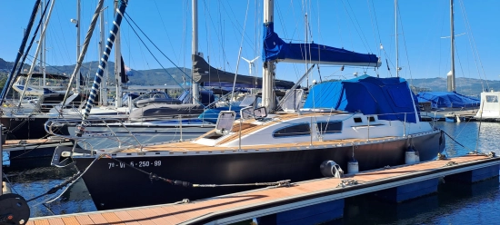 TRIANA 36 preowned for sale