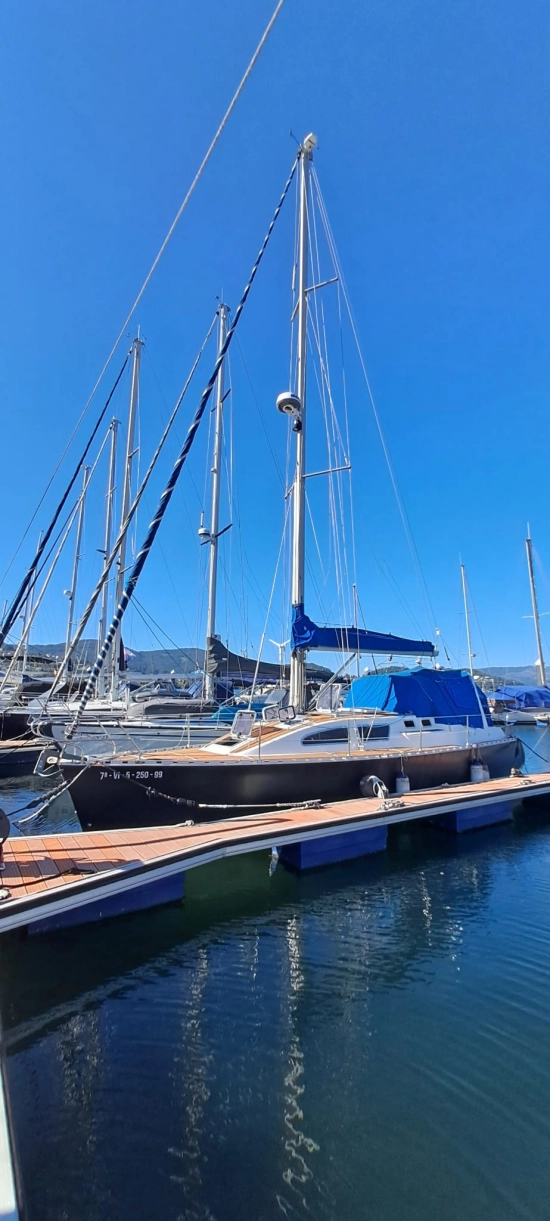 TRIANA 36 preowned for sale