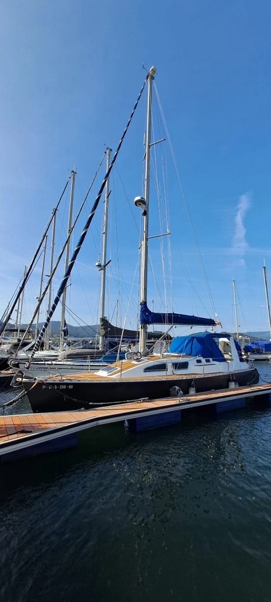 TRIANA 36 preowned for sale