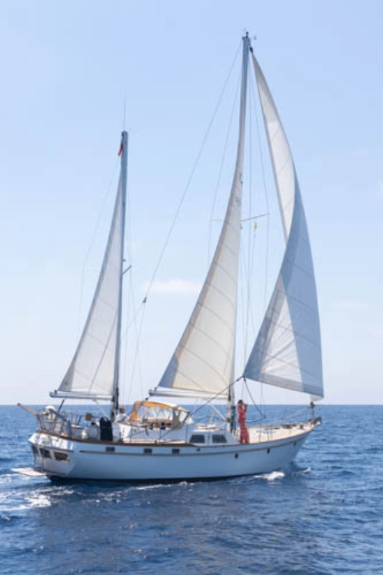 DERE YMA Transpac 49 Mark II preowned for sale