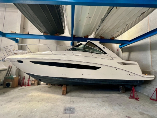 Sea Ray Sundancer 355 gebraucht zum verkauf