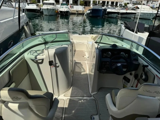 Sea Ray Sundeck 260 d’occasion à vendre