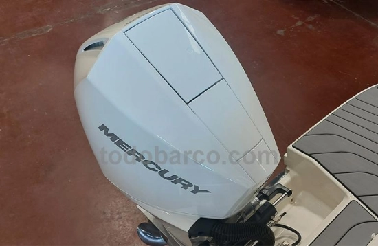 Sea Ray SPX 210 OB brand new for sale