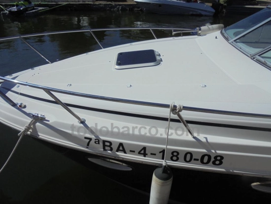 Rinker 260 gebraucht zum verkauf