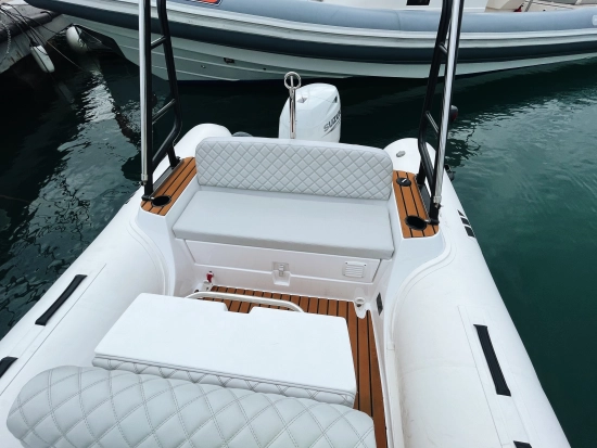 TIGER MARINE 550 PROLINE gebraucht zum verkauf