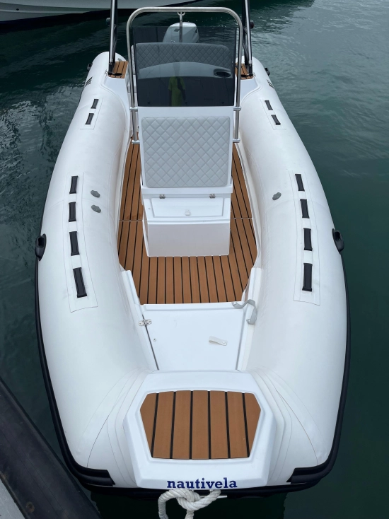 TIGER MARINE 550 PROLINE gebraucht zum verkauf