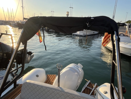 TIGER MARINE 550 PROLINE gebraucht zum verkauf