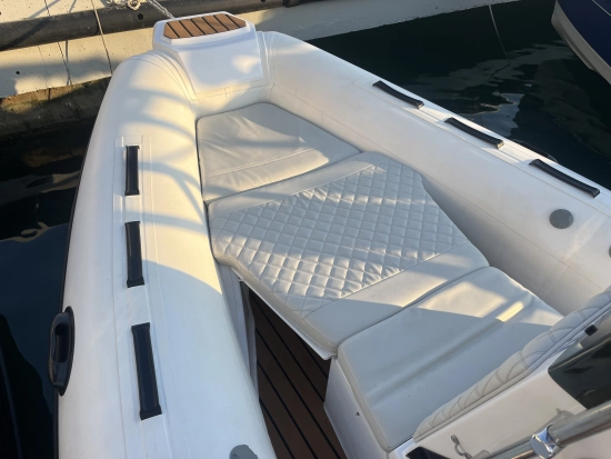 TIGER MARINE 550 PROLINE gebraucht zum verkauf