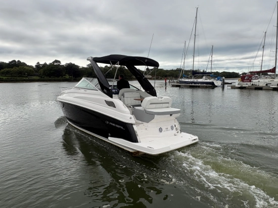 Regal 28 Express brand new for sale