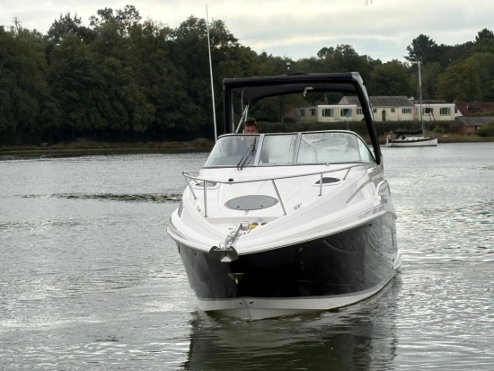 Regal 28 Express brand new for sale